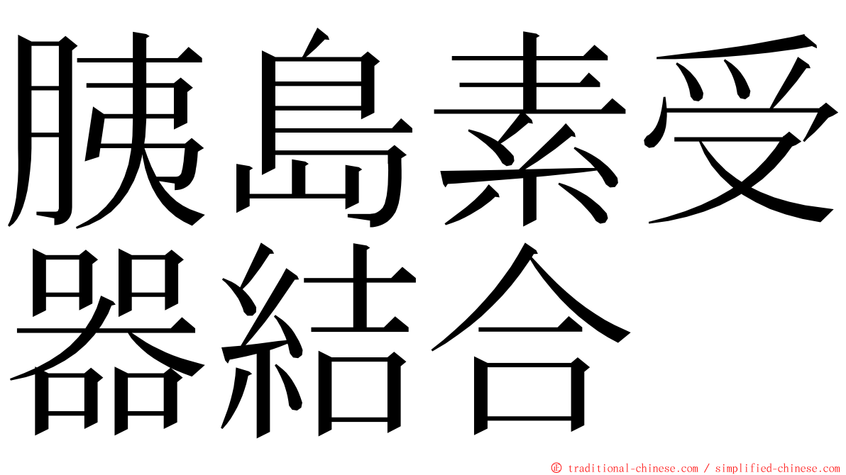 胰島素受器結合 ming font