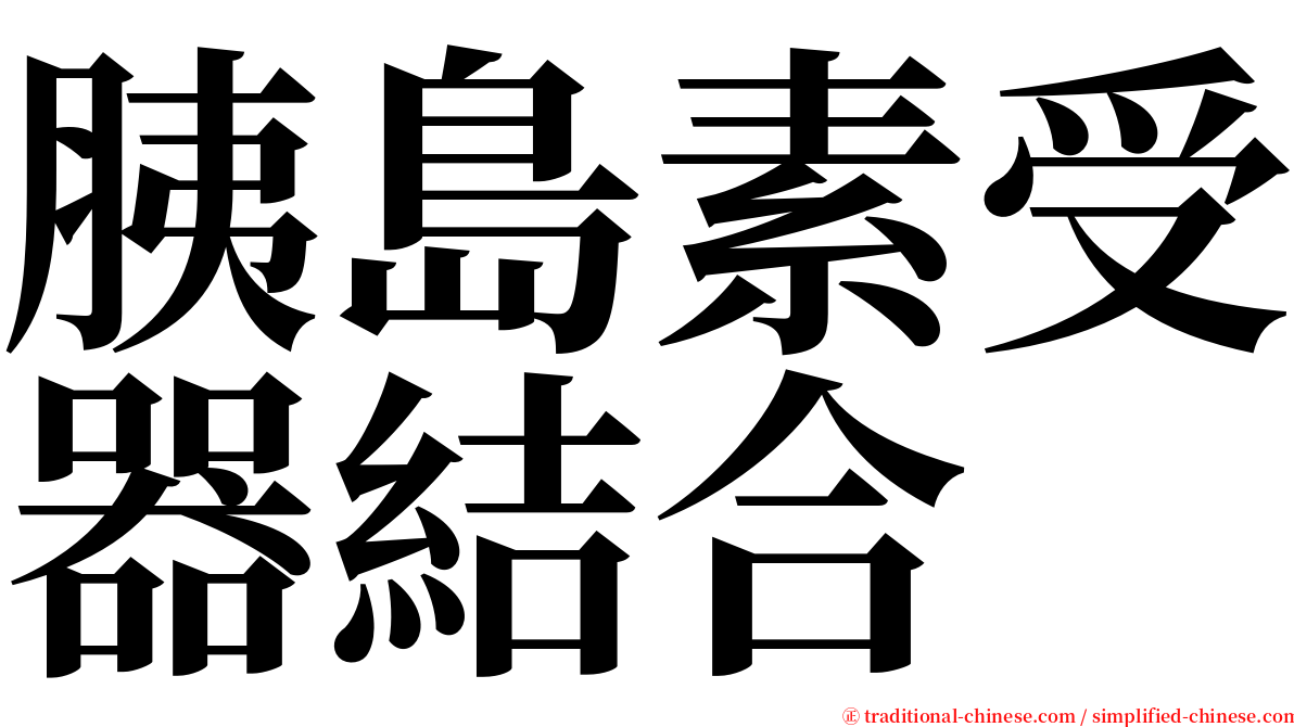 胰島素受器結合 serif font