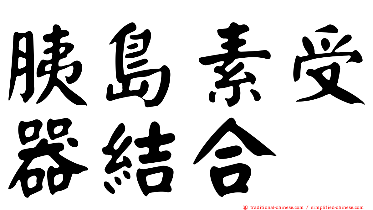 胰島素受器結合
