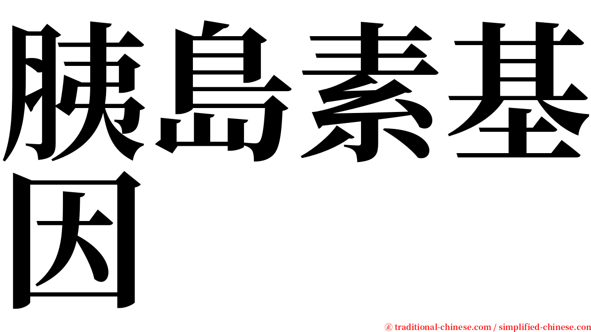 胰島素基因 serif font
