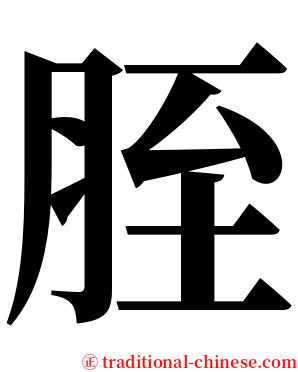 胵 serif font