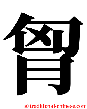 胷 serif font