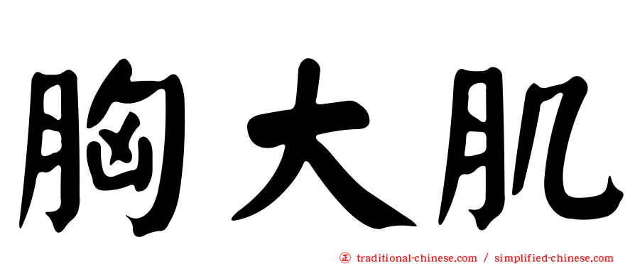 胸大肌