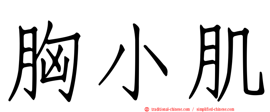 胸小肌