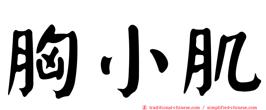 胸小肌