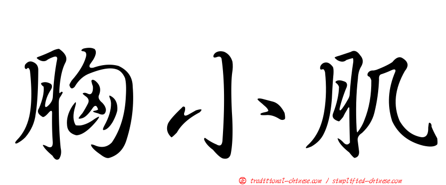 胸小肌