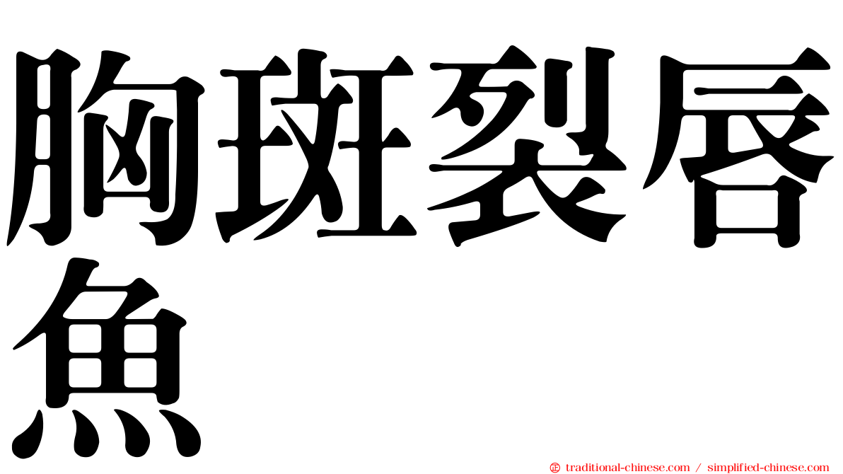 胸斑裂唇魚