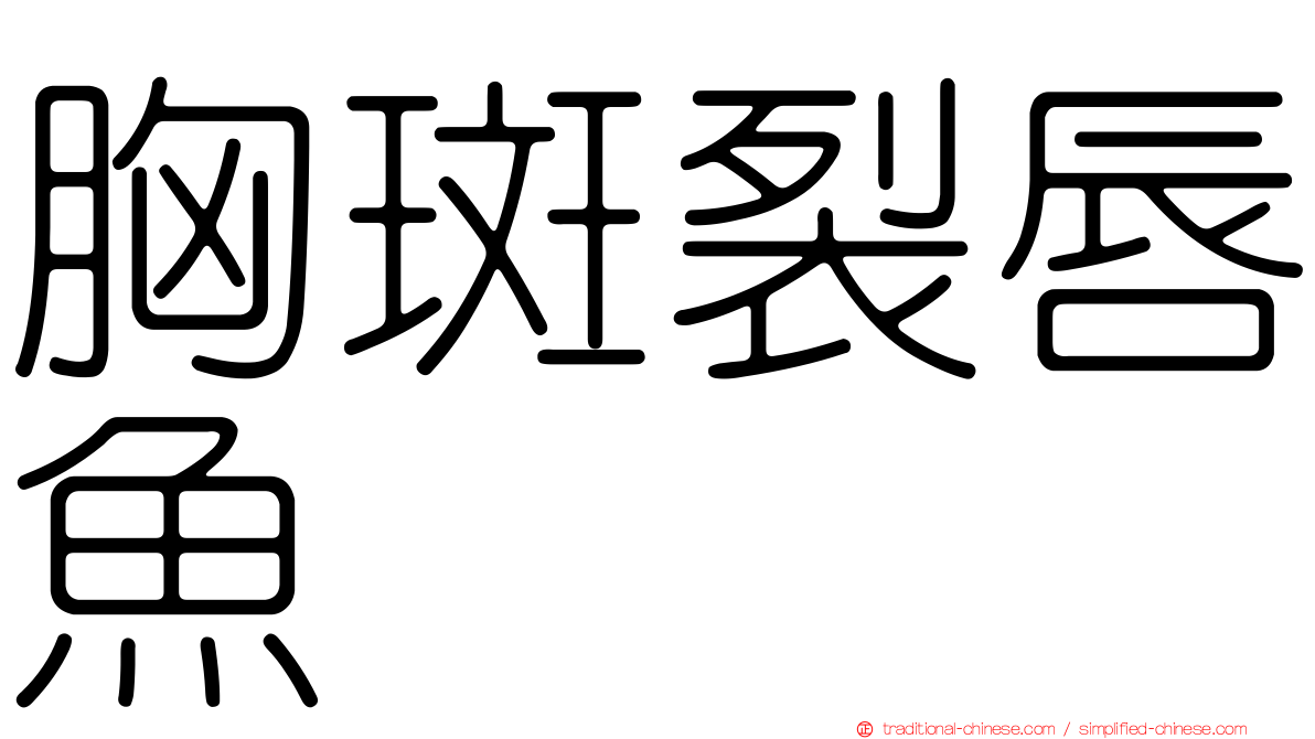 胸斑裂唇魚