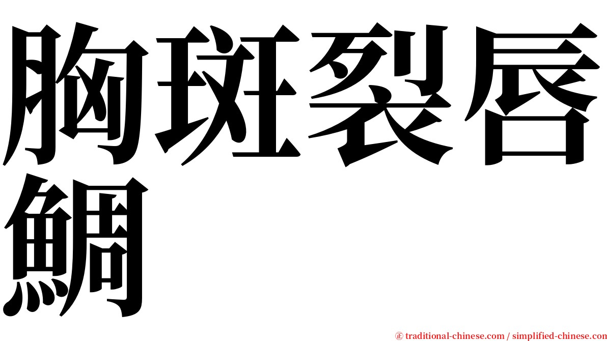 胸斑裂唇鯛 serif font