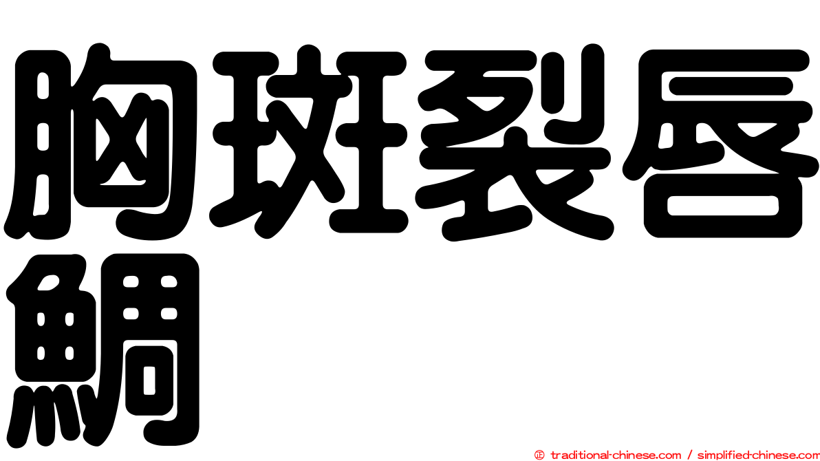 胸斑裂唇鯛