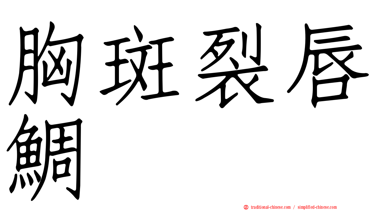 胸斑裂唇鯛