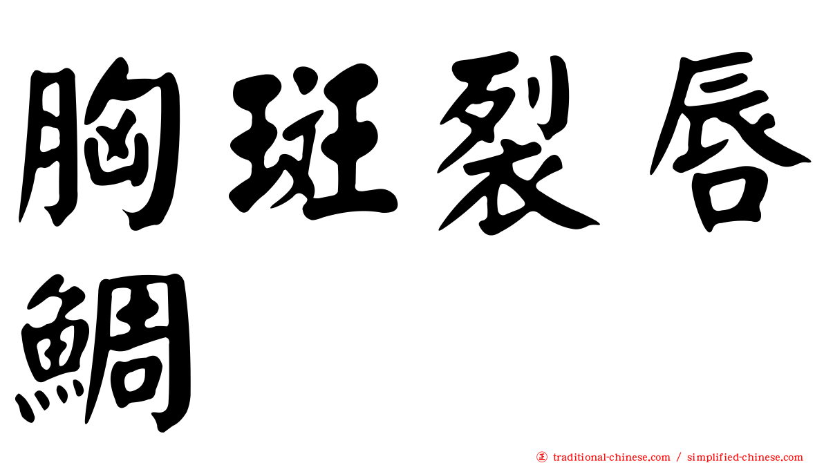 胸斑裂唇鯛