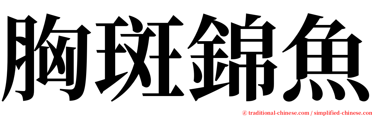 胸斑錦魚 serif font
