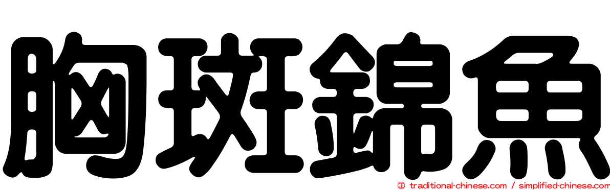 胸斑錦魚