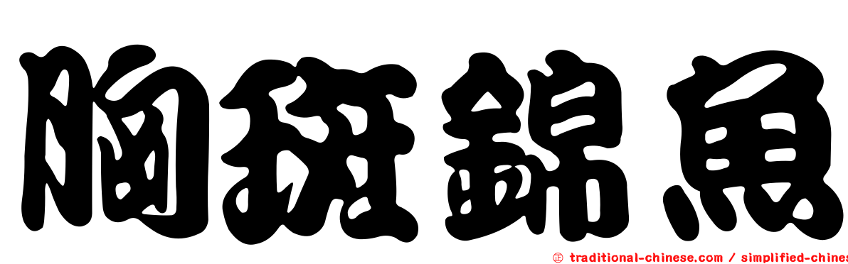胸斑錦魚