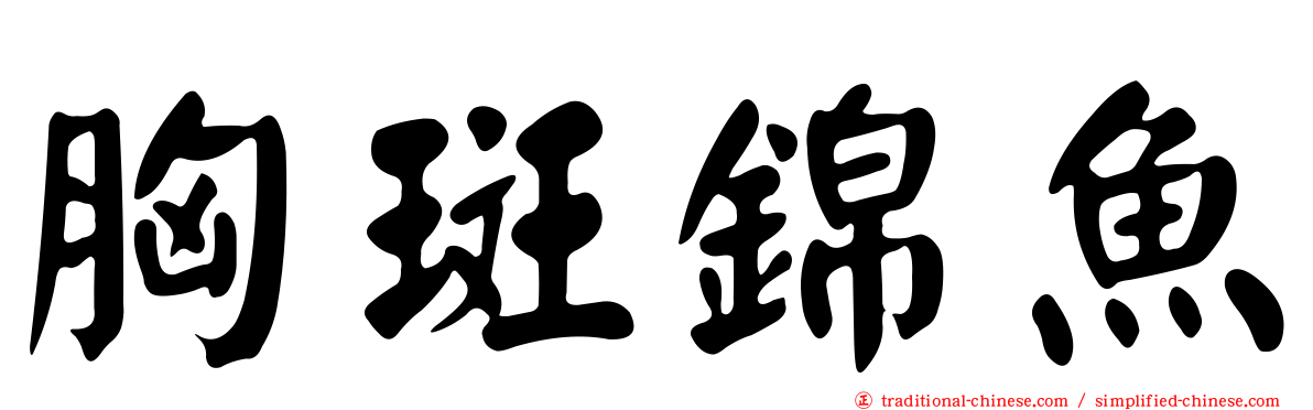 胸斑錦魚