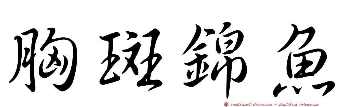 胸斑錦魚