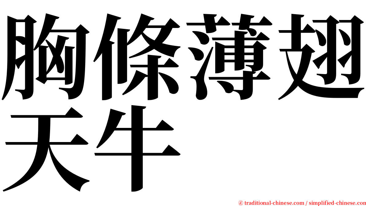 胸條薄翅天牛 serif font