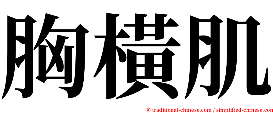 胸橫肌 serif font