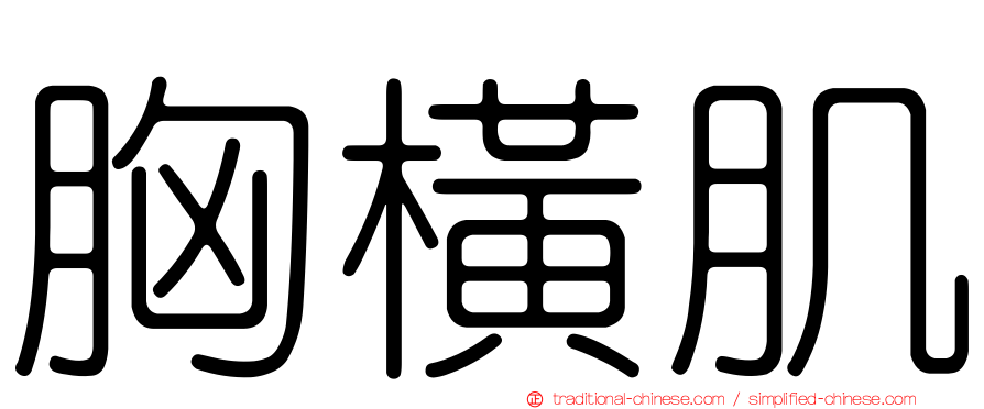 胸橫肌