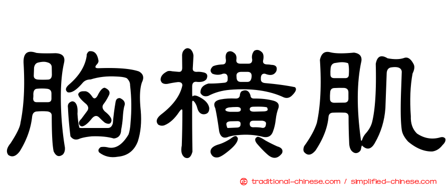 胸橫肌