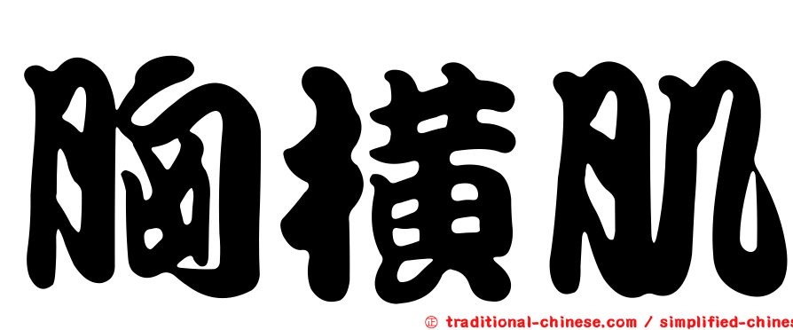 胸橫肌