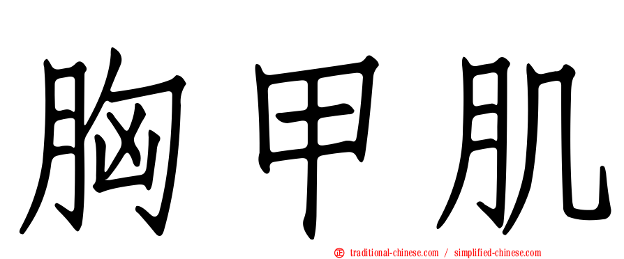 胸甲肌