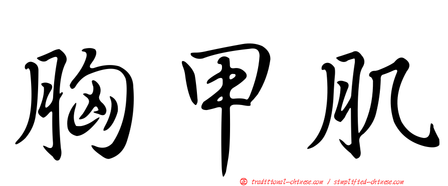胸甲肌