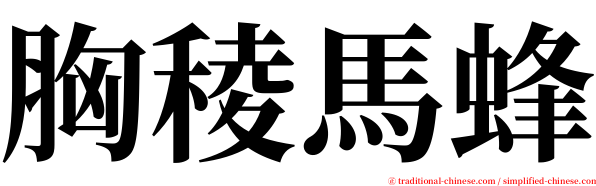 胸稜馬蜂 serif font