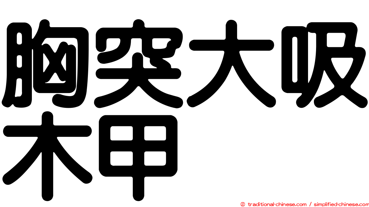 胸突大吸木甲