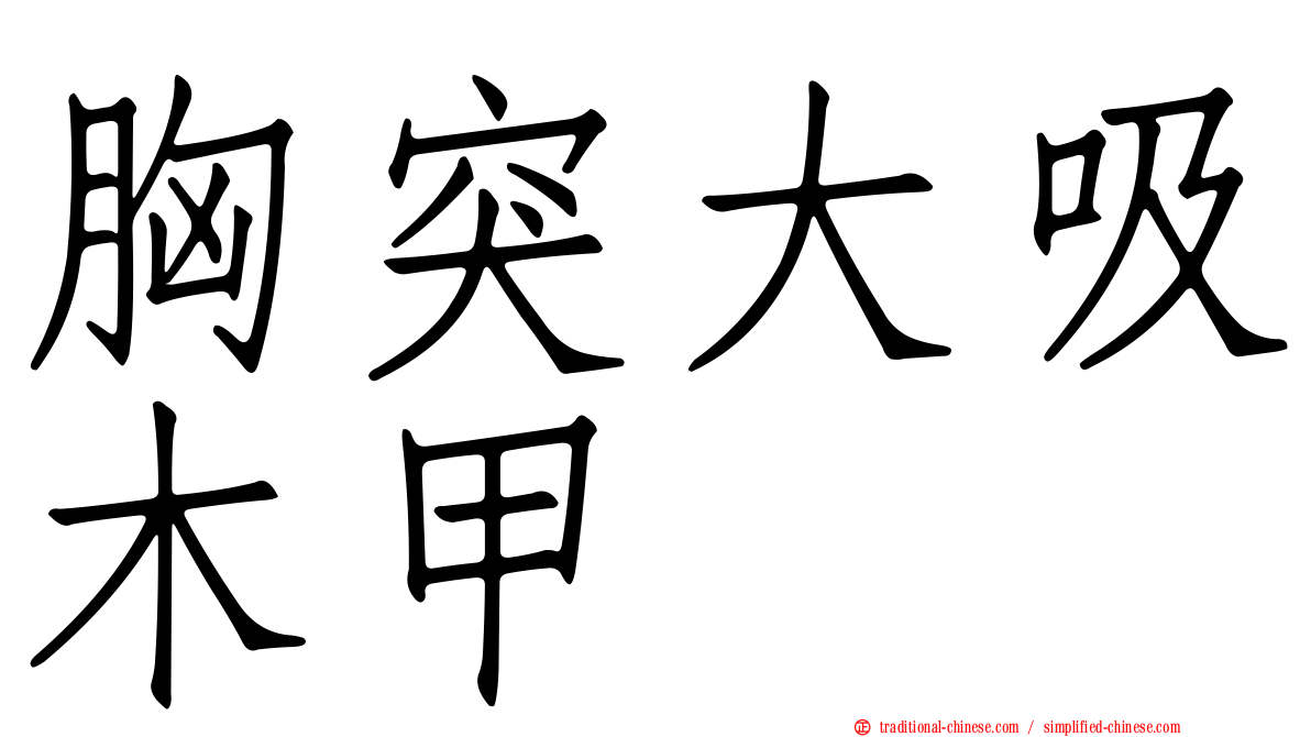 胸突大吸木甲
