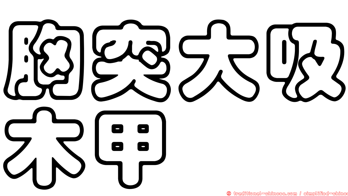 胸突大吸木甲