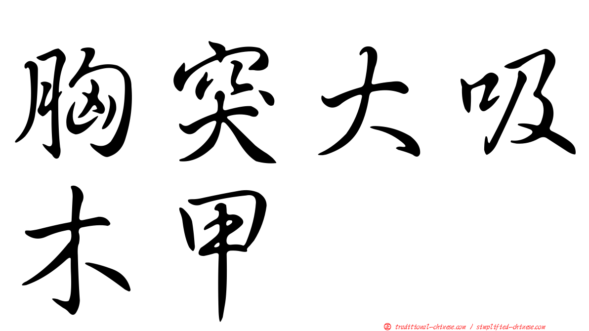 胸突大吸木甲