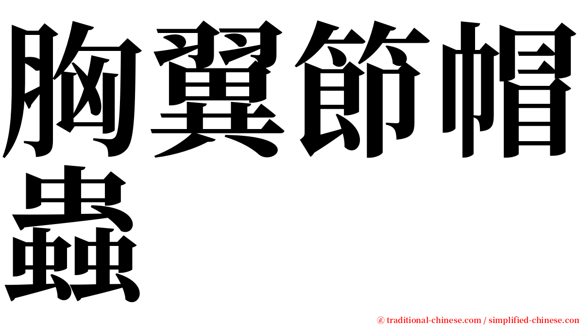 胸翼節帽蟲 serif font