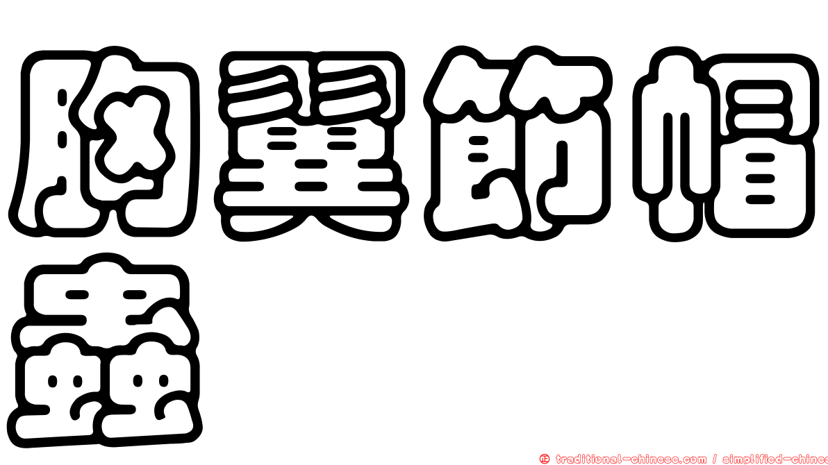 胸翼節帽蟲