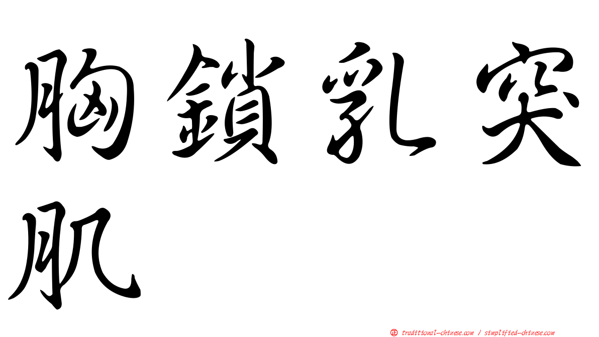 胸鎖乳突肌