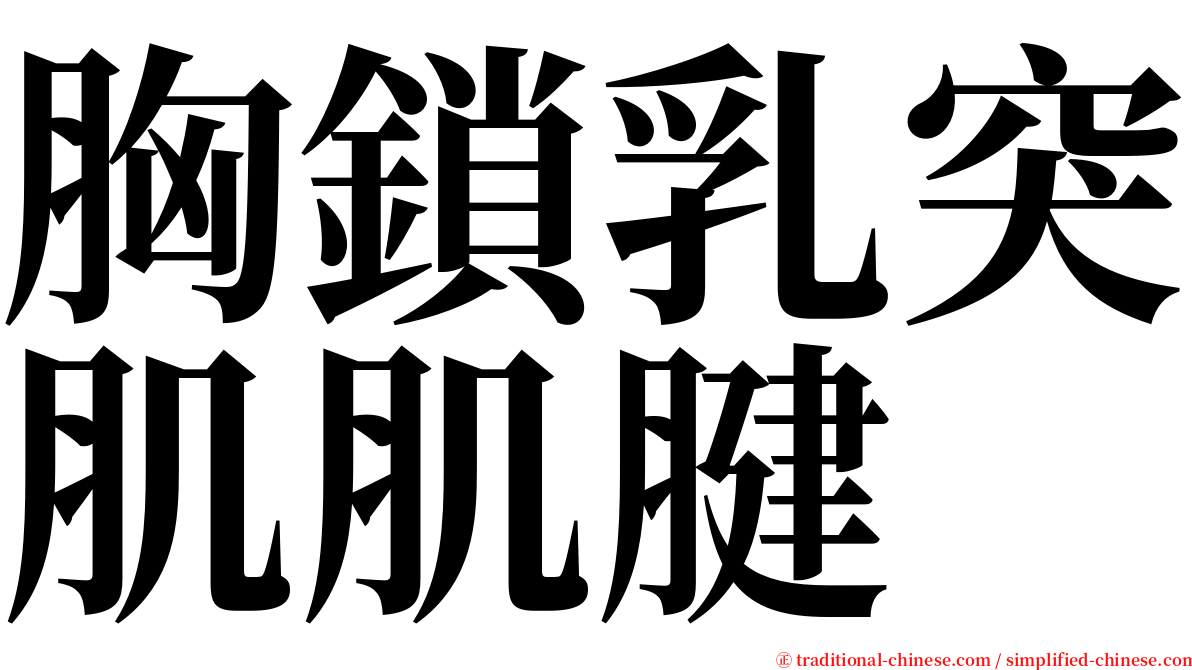 胸鎖乳突肌肌腱 serif font