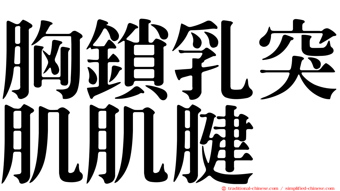 胸鎖乳突肌肌腱