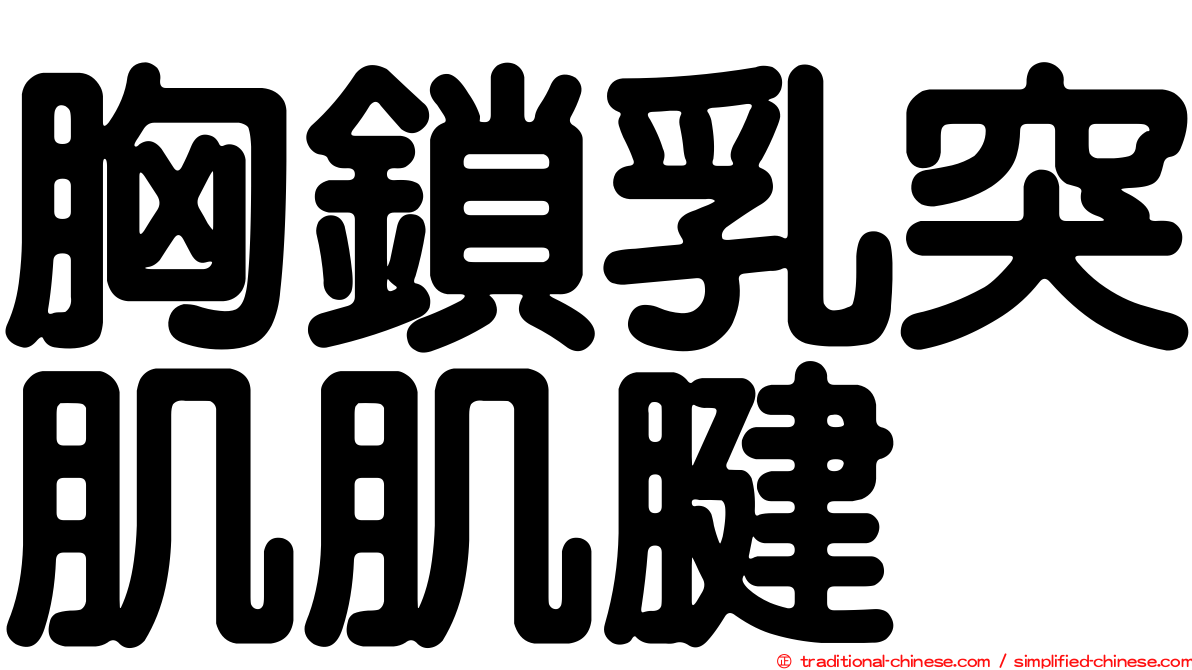 胸鎖乳突肌肌腱