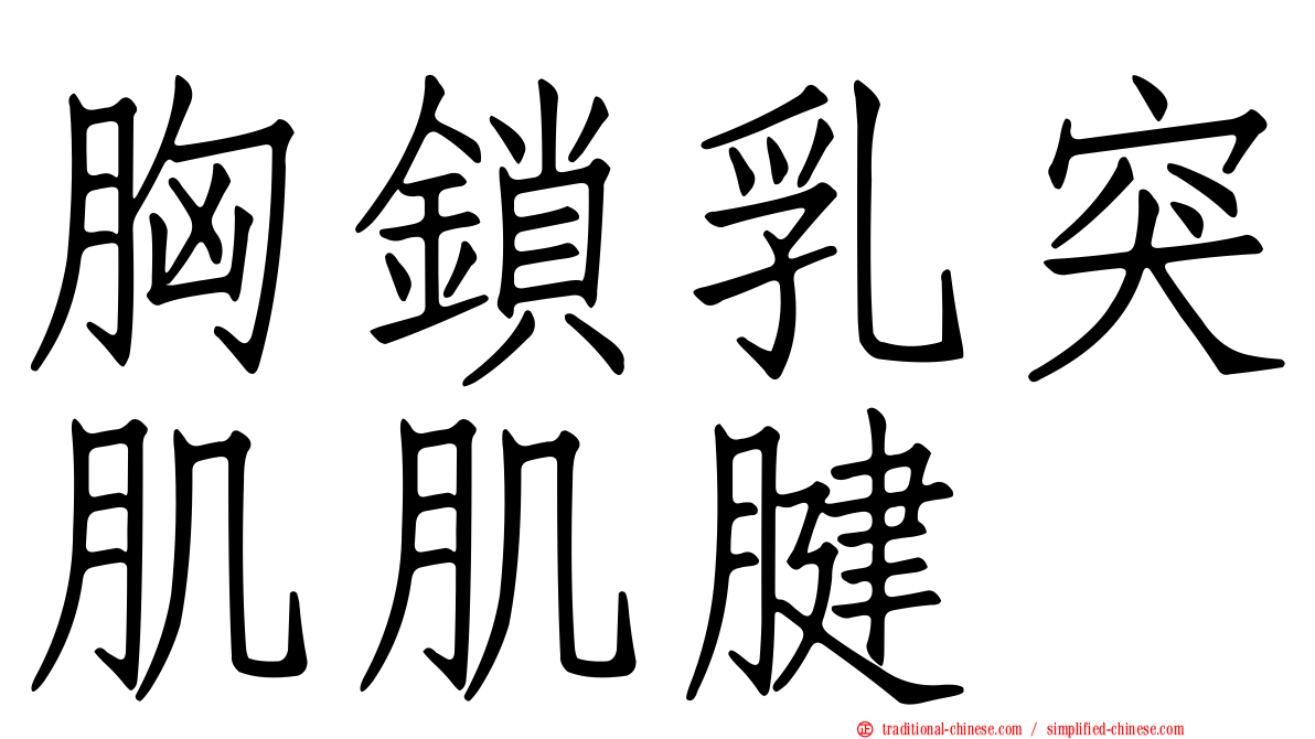 胸鎖乳突肌肌腱