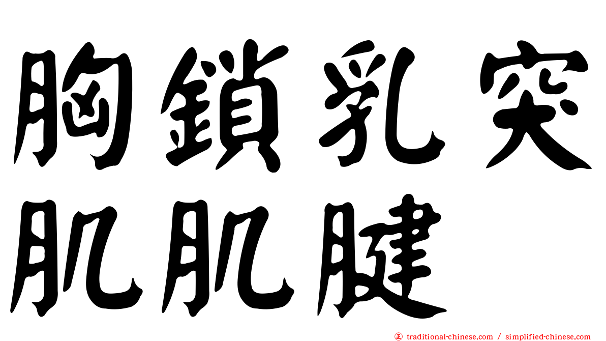 胸鎖乳突肌肌腱