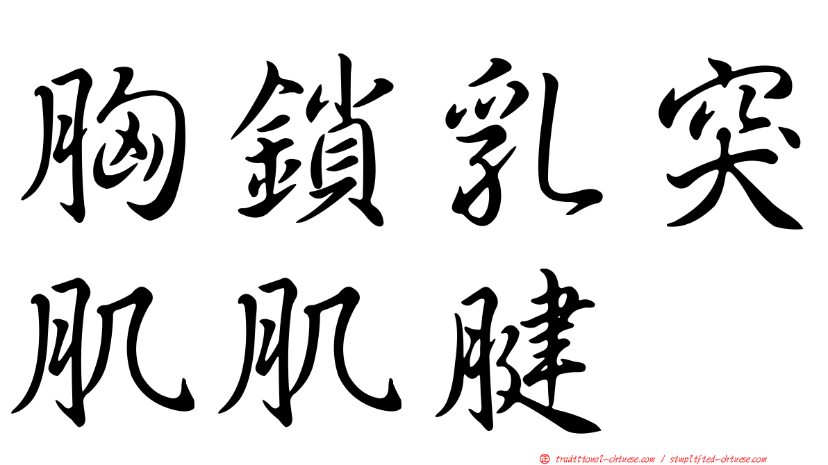 胸鎖乳突肌肌腱