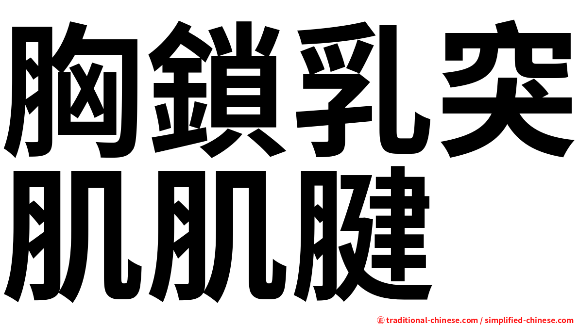胸鎖乳突肌肌腱