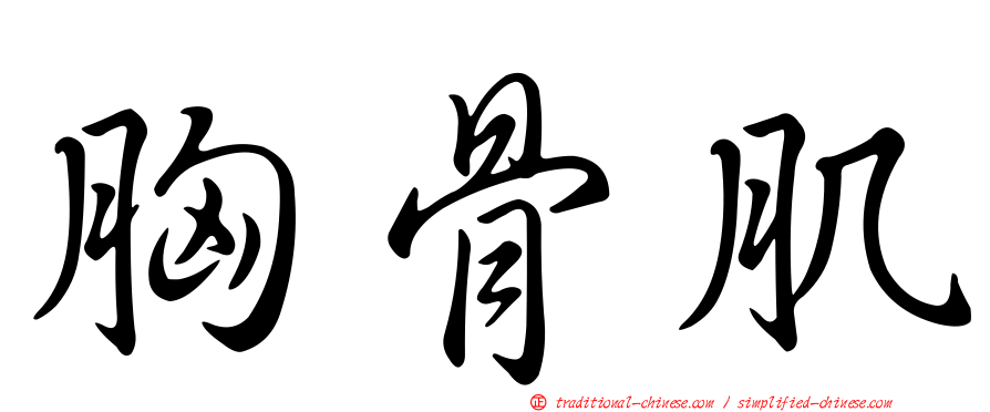 胸骨肌