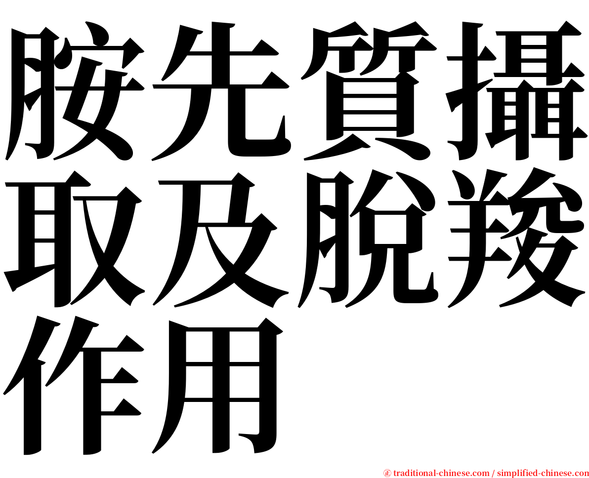 胺先質攝取及脫羧作用 serif font