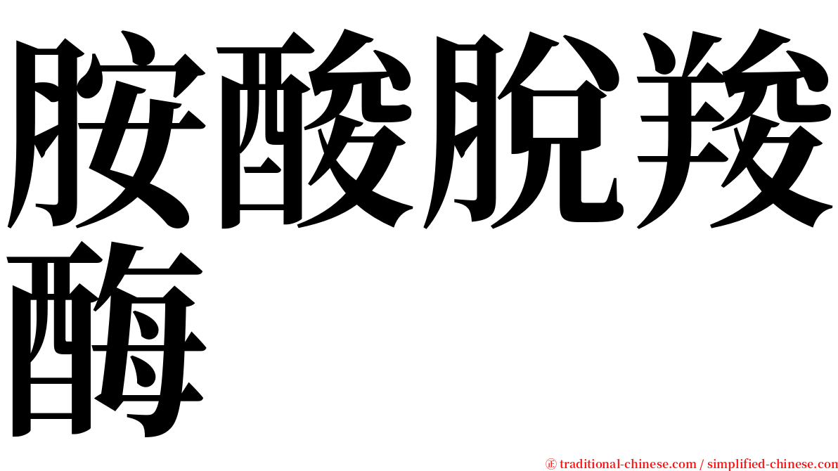 胺酸脫羧酶 serif font