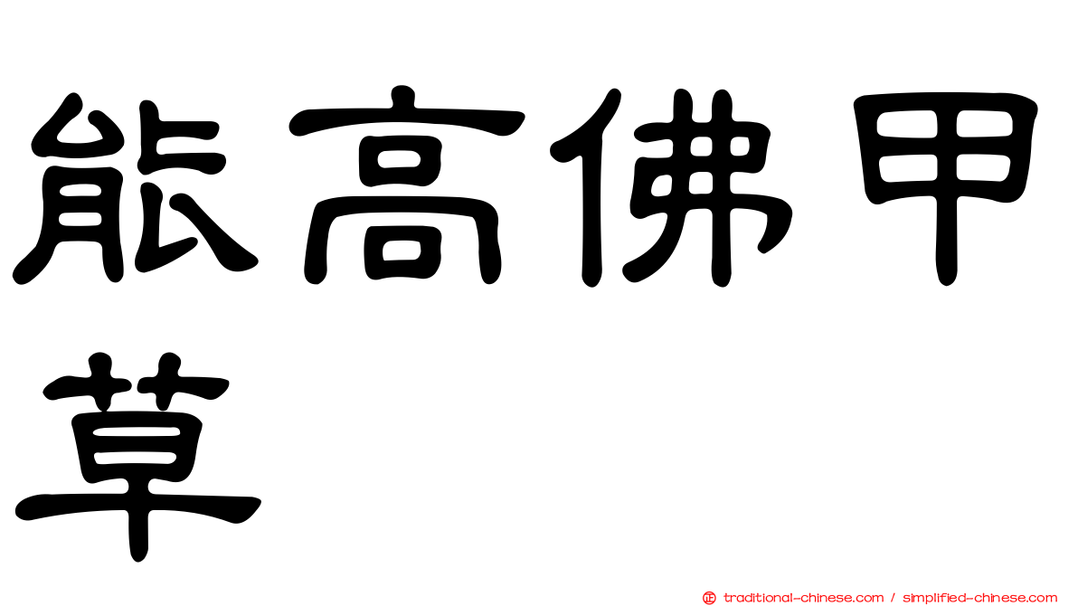 能高佛甲草