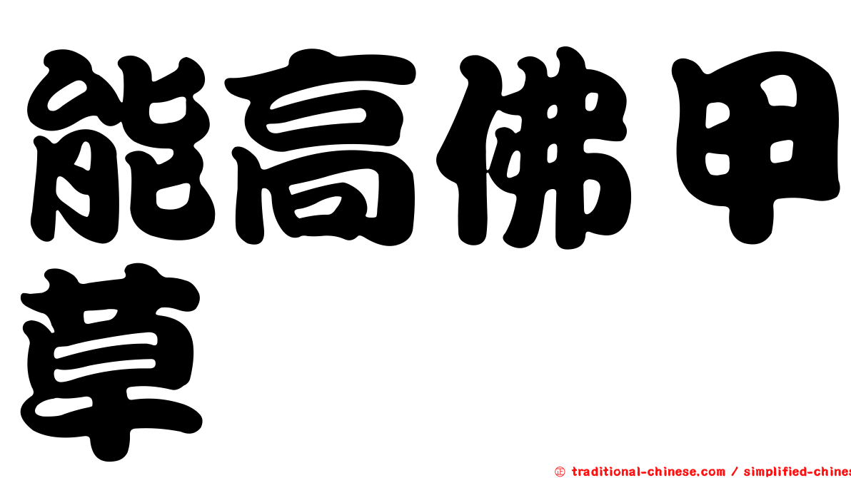 能高佛甲草