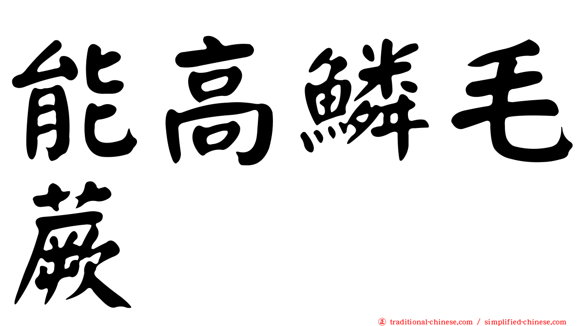 能高鱗毛蕨