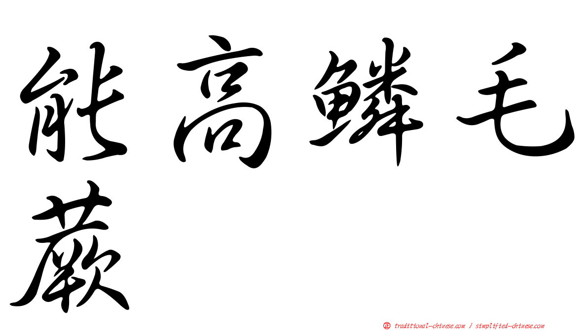 能高鱗毛蕨